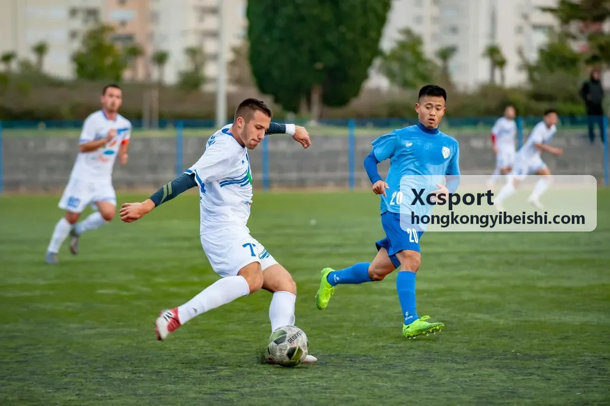 Xcsport 运动表现分析界面