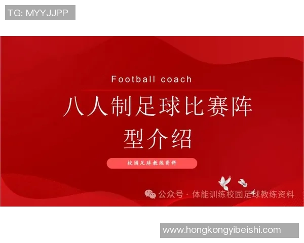 足球球星团队的人员组成及其在比赛中的协作与作用分析